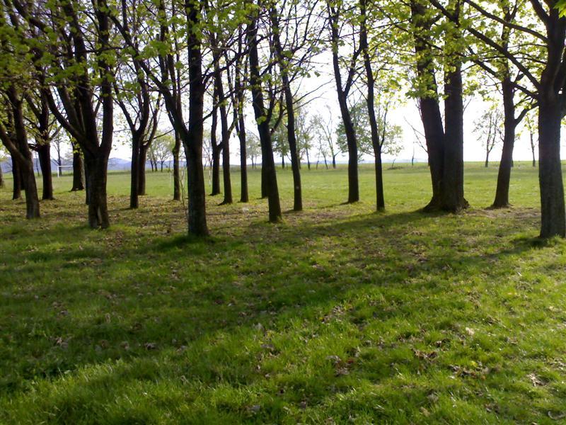 200704091796 .jpg